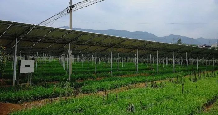 商洛市3MW農光互補項目成示范,首航逆變器穩定助力,業主收益有保障