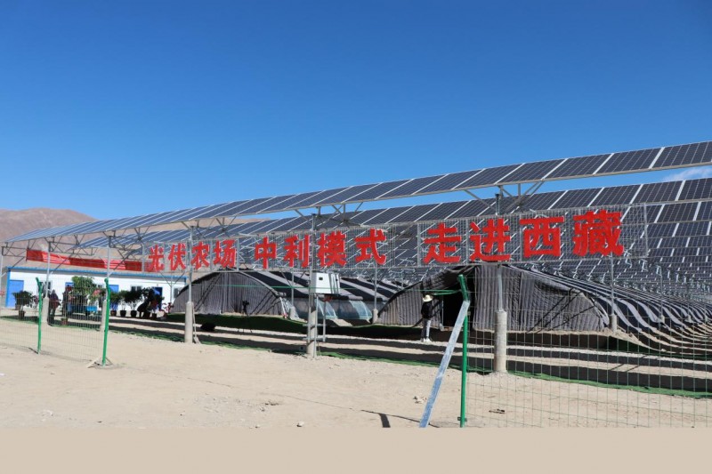 中利集團:“貧困村光伏農場”惠及西藏深度貧困地區