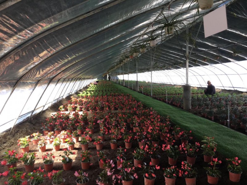 中利集團:“貧困村光伏農場”惠及西藏深度貧困地區