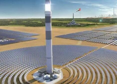 如何守護光熱電站廠區內的野生動植物？看海外幾個光熱項目是如何做的