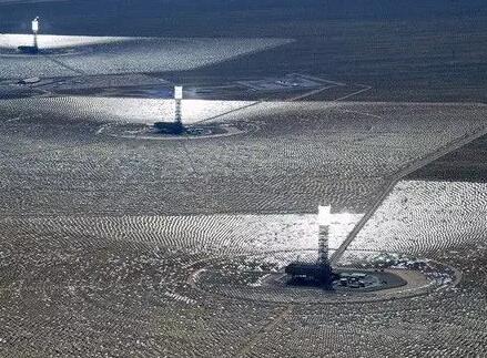 如何守護光熱電站廠區內的野生動植物？看海外幾個光熱項目是如何做的