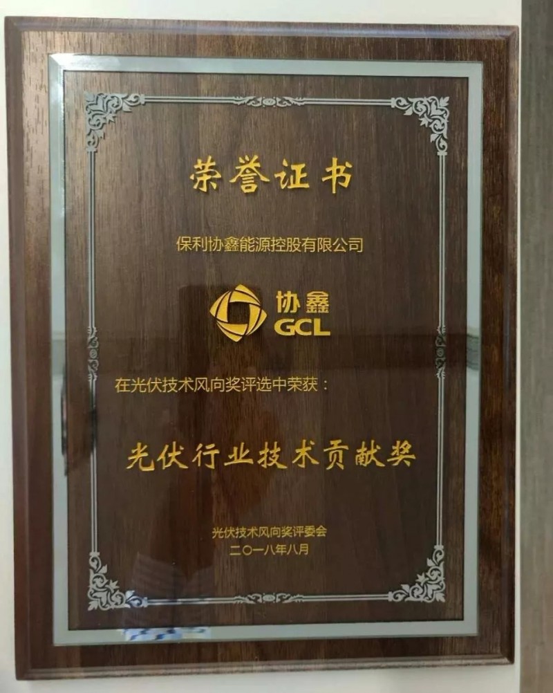 引領黑硅高效光伏,保利協(xié)鑫榮膺“光伏行業(yè)技術貢獻獎”