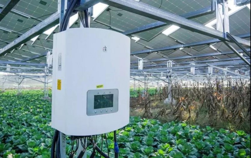 據(jù)央視記者報道,近日,錦浪科技助力湖北省宜城王集鎮(zhèn)觀音村,采用典型的“農(nóng)光互補(bǔ)”模式,實(shí)現(xiàn)了全村人共同“生態(tài)收益”的目標(biāo),引起了廣大人民群眾的熱烈反響。 走進(jìn)光伏電站區(qū),首先映入眼簾的是一片藍(lán)汪汪的光伏海洋,一望無際,若是走近仔細(xì)一看,才發(fā)現(xiàn)這么一大片區(qū)域里不完全是光伏板,原來在光伏板下邊還有另一片“柳暗花明”的天地,綠油油的青菜鋪滿整塊地面實(shí)在好看極了。 據(jù)記者報道,這便是觀音村這兩年響應(yīng)國家“精準(zhǔn)扶貧”和“光伏扶貧”政策,投資2億元建成20MWP“農(nóng)光互補(bǔ)”地面光伏電站。此電站光伏支架采用的是同景新能源的跟蹤支架,逆變器采用了錦浪科技公司的50kW逆變器,以它相對較小的外形,為運(yùn)輸免去了不少成本,提供了便捷安裝;4路MPPT接入,每路額定28.5A,兼容大功率組件,設(shè)計更靈活;充分的冗余設(shè)計保障逆變器長壽命可靠運(yùn)行。 同景新能源有限公司總經(jīng)理郤維平在現(xiàn)場對記者解釋,“我們主要的優(yōu)勢是跟蹤,我們有500臺跟蹤器可以自動跟蹤,也就是我們常說的‘光伏板跟著太陽走’,這樣他與其它電站相比,它是固定式的,我們的發(fā)電量同比要增加20%。”他接著說道,“我們不破壞土地,活動支架,我們平時看到的可能都是打樁式的,而我們這個是小水泥塊,直接放在土地表面,可以自由移動。”這種獨(dú)特安全的安裝方式得到農(nóng)民的大力支持。 據(jù)現(xiàn)場村民說,這里的主要農(nóng)作物有黃精,桔梗,花生,魔芋等,以黃精價值尤為突出,黃精作為一種名貴藥材喜歡蔭涼,所以光伏板既全方位吸收了太陽能,又很好的為農(nóng)作物起到了遮陽的作用;它的生長周期需要兩三年,然而價值非常可觀,給他們帶來相當(dāng)不錯的收益。 王集鎮(zhèn)觀音村這種典型的“農(nóng)光互補(bǔ)”模式,正是利用較少的投資獲得更多的利益,實(shí)現(xiàn)了“光伏脫貧”的“生態(tài)效益”的目的,還讓當(dāng)?shù)剞r(nóng)民每年有了一份固定的收入。據(jù)統(tǒng)計,一畝地一年能收入5萬元,人均年收入可達(dá)2.5萬元以上。 國家近年來推行的“光伏扶貧”政策越來越深入人心,讓一批又一批的農(nóng)民走上了脫貧致富的道路,我們也希望更多的農(nóng)民能夠利用這種“農(nóng)光互補(bǔ)”的模式,早日擺脫貧困生活,實(shí)現(xiàn)共同富裕。