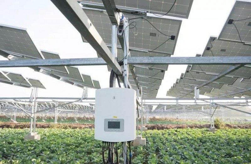 　　據(jù)央視記者報道，近日，錦浪科技助力湖北省宜城王集鎮(zhèn)觀音村，采用典型的&ldquo;農(nóng)光互補(bǔ)&rdquo;模式，實(shí)現(xiàn)了全村人共同&ldquo;生態(tài)收益&rdquo;的目標(biāo)，引起了廣大人民群眾的熱烈反響。 　　 　　走進(jìn)光伏電站區(qū)，首先映入眼簾的是一片藍(lán)汪汪的光伏海洋，一望無際，若是走近仔細(xì)一看，才發(fā)現(xiàn)這么一大片區(qū)域里不完全是光伏板，原來在光伏板下邊還有另一片&ldquo;柳暗花明&rdquo;的天地，綠油油的青菜鋪滿整塊地面實(shí)在好看極了。 　　 　　據(jù)記者報道，這便是觀音村這兩年響應(yīng)國家&ldquo;精準(zhǔn)扶貧&rdquo;和&ldquo;光伏扶貧&rdquo;政策，投資2億元建成20MWP&ldquo;農(nóng)光互補(bǔ)&rdquo;地面光伏電站。此電站光伏支架采用的是同景新能源的跟蹤支架，逆變器采用了錦浪科技公司的50kW逆變器，以它相對較小的外形，為運(yùn)輸免去了不少成本，提供了便捷安裝；4路MPPT接入，每路額定28.5A，兼容大功率組件，設(shè)計更靈活；充分的冗余設(shè)計保障逆變器長壽命可靠運(yùn)行。 　　 　　同景新能源有限公司總經(jīng)理郤維平在現(xiàn)場對記者解釋，&ldquo;我們主要的優(yōu)勢是跟蹤，我們有500臺跟蹤器可以自動跟蹤，也就是我們常說的&lsquo;光伏板跟著太陽走&rsquo;，這樣他與其它電站相比，它是固定式的，我們的發(fā)電量同比要增加20%。&rdquo;他接著說道，&ldquo;我們不破壞土地，活動支架，我們平時看到的可能都是打樁式的，而我們這個是小水泥塊，直接放在土地表面，可以自由移動。&rdquo;這種獨(dú)特安全的安裝方式得到農(nóng)民的大力支持。 　　 　　據(jù)現(xiàn)場村民說，這里的主要農(nóng)作物有黃精，桔梗，花生，魔芋等，以黃精價值尤為突出，黃精作為一種名貴藥材喜歡蔭涼，所以光伏板既全方位吸收了太陽能，又很好的為農(nóng)作物起到了遮陽的作用；它的生長周期需要兩三年，然而價值非常可觀，給他們帶來相當(dāng)不錯的收益。 　　 　　王集鎮(zhèn)觀音村這種典型的&ldquo;農(nóng)光互補(bǔ)&rdquo;模式，正是利用較少的投資獲得更多的利益，實(shí)現(xiàn)了&ldquo;光伏脫貧&rdquo;的&ldquo;生態(tài)效益&rdquo;的目的，還讓當(dāng)?shù)剞r(nóng)民每年有了一份固定的收入。據(jù)統(tǒng)計，一畝地一年能收入5萬元，人均年收入可達(dá)2.5萬元以上。 　　 　　國家近年來推行的&ldquo;光伏扶貧&rdquo;政策越來越深入人心，讓一批又一批的農(nóng)民走上了脫貧致富的道路，我們也希望更多的農(nóng)民能夠利用這種&ldquo;農(nóng)光互補(bǔ)&rdquo;的模式，早日擺脫貧困生活，實(shí)現(xiàn)共同富裕。